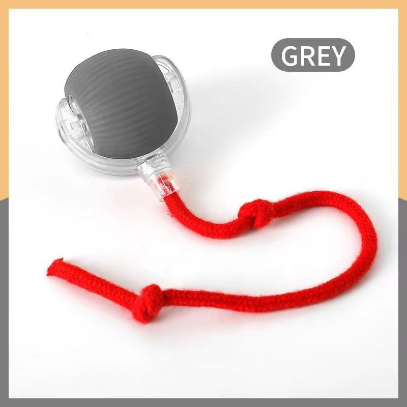Puzzvo Interactive Pet Toy Ball - Self-Moving Cat and Dog Fun - Product Image