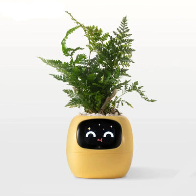 Puzzvo Phylora | Smart Plant Pot & Self-Watering Planter