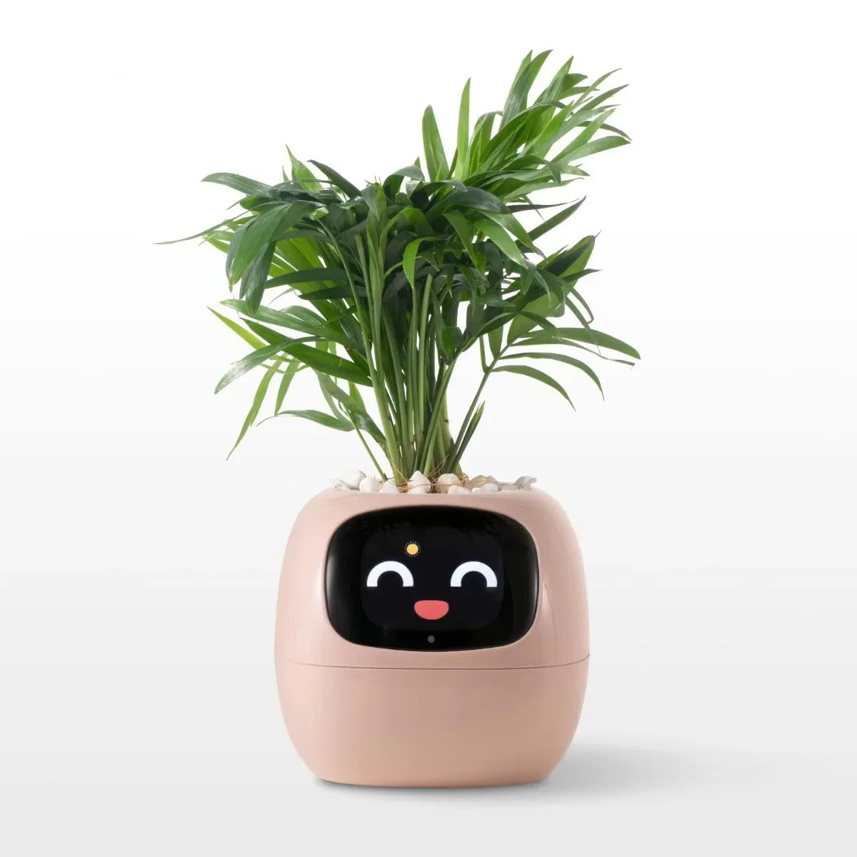 Puzzvo Maceta Inteligente AI BloomiBot con Autorriego y WiFi