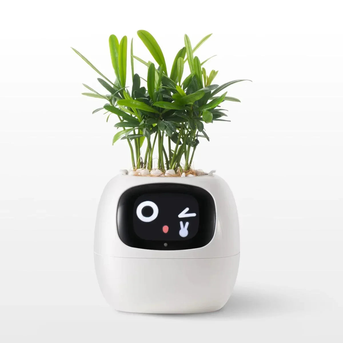 Puzzvo Maceta Inteligente AI BloomiBot con Autorriego y WiFi