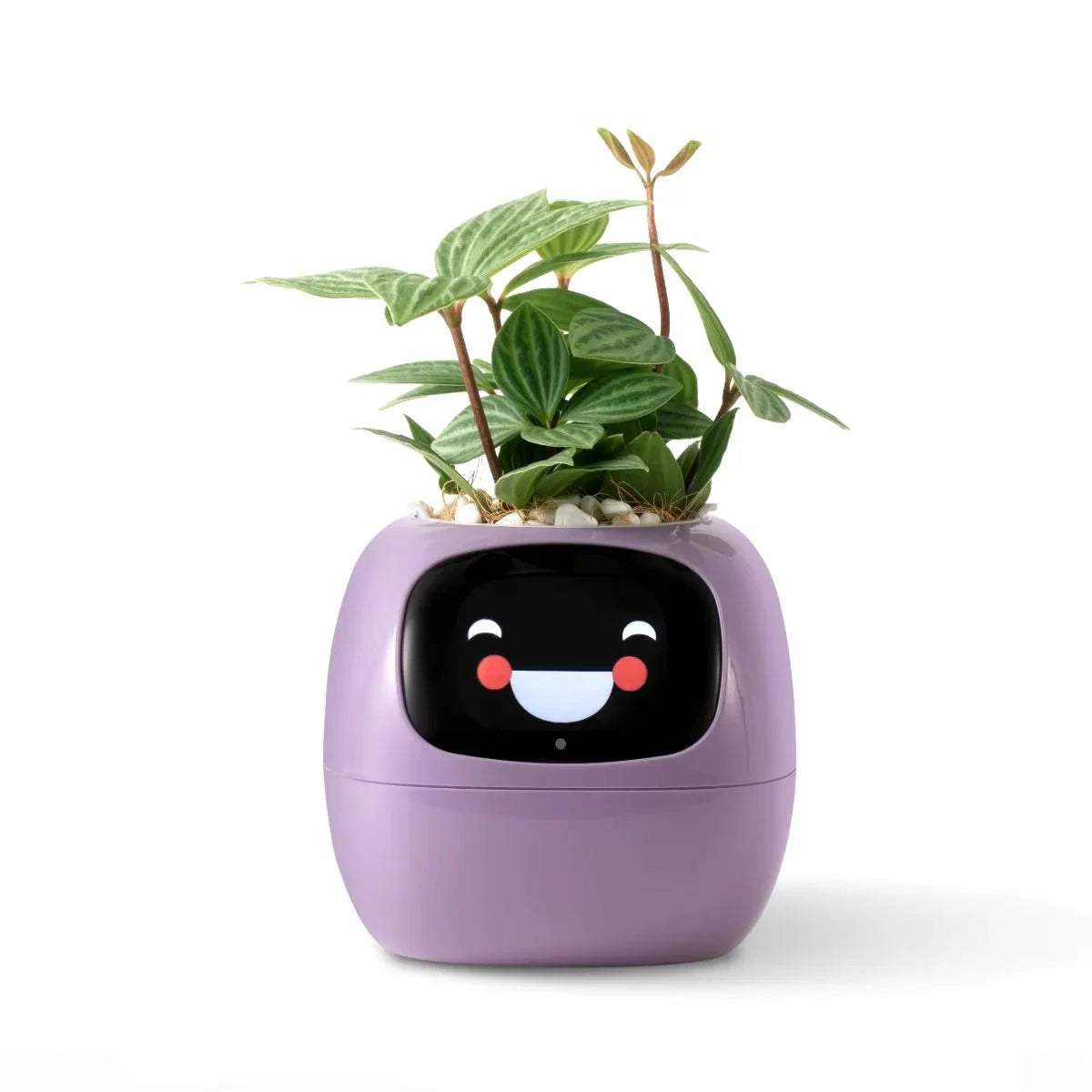 Puzzvo Maceta Inteligente AI BloomiBot con Autorriego y WiFi